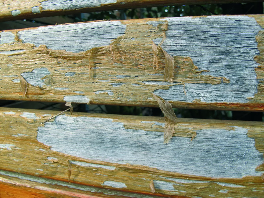 Raised Fibres